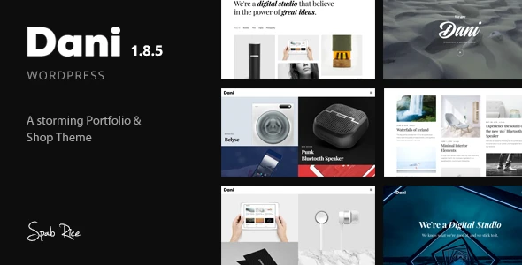 Dani – A Storming Portfolio & Shop WordPress Theme